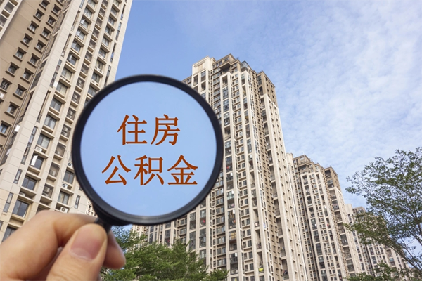 当阳芜湖公积金代办（当阳芜湖公积金代办公司）